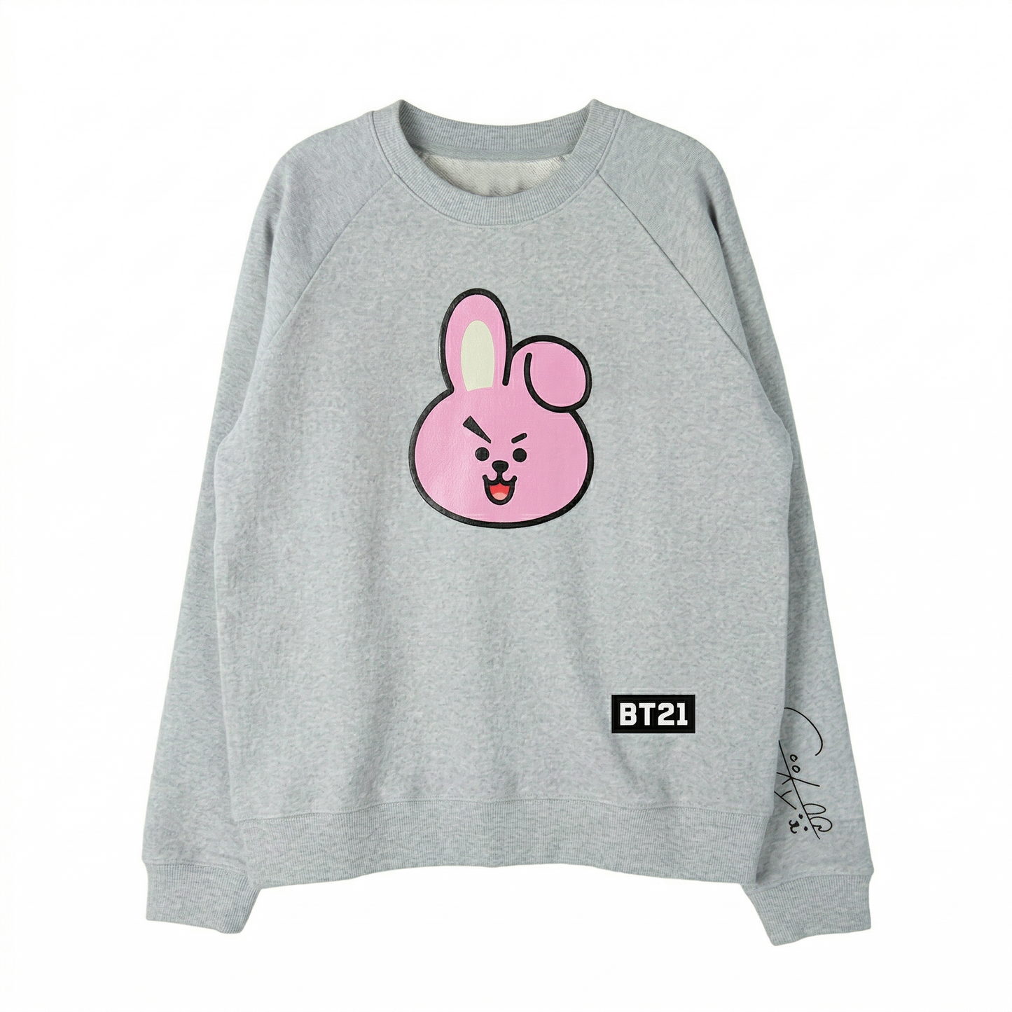 Sudadera BT21 Todos los Amigos Oversize | Sudadera K-pop BT21